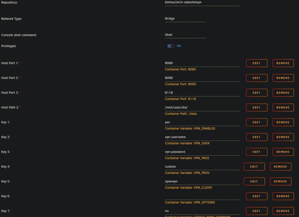 1215215065_sabnzbddockerconfig1.thumb.JPG.423a6a56b6333c315d525ccb608575b5.JPG