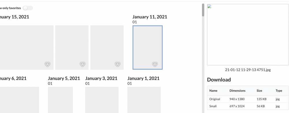 Screen Shot 2021-02-25 at 6.04.03 PM.png