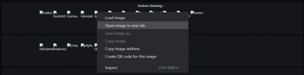 518433523_UnraidAPIImagesFix01.thumb.png.d320205dd4e0a8f541dcc04b31bd0c1d.png