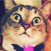 timmyx