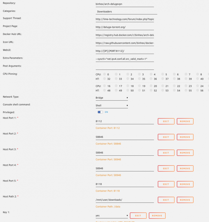 b-delugevpn setup 1.png