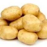 chpoit