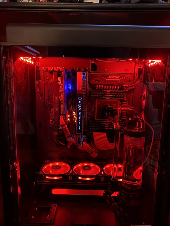 Crimson.jpg
