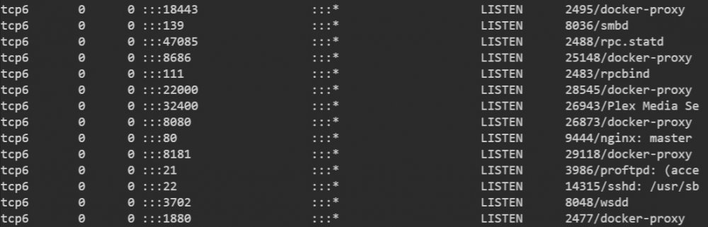 NPM4.thumb.jpg.bbda4cf63d458750a2374542b44de475.jpg