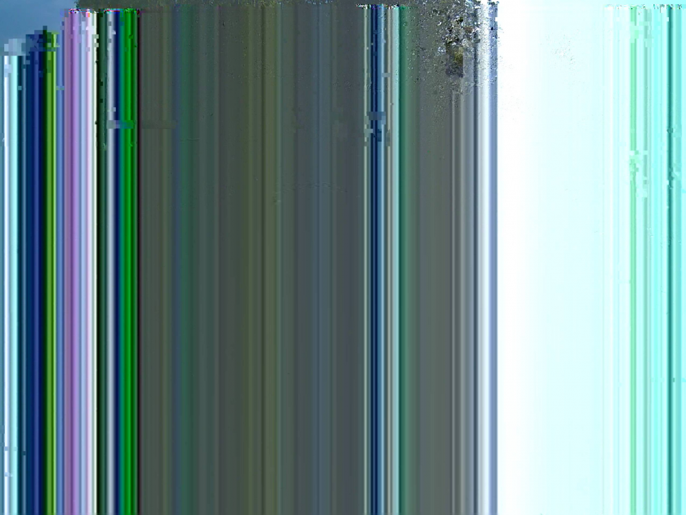 canvas.png