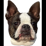 oliviercba