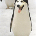 Nickglott
