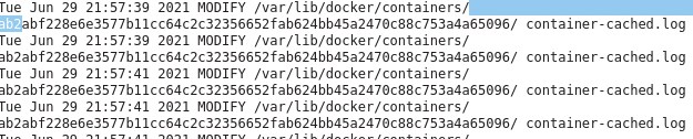 firefox_ONkkVLLBwg.jpg.cd01055489bbd9361d95eb87e222a23b.jpg
