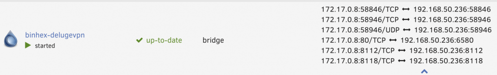 delugevpn_portmappings.png