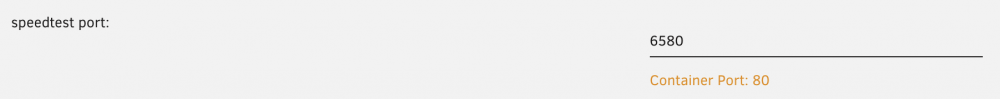 delugevpn_portsettings.png
