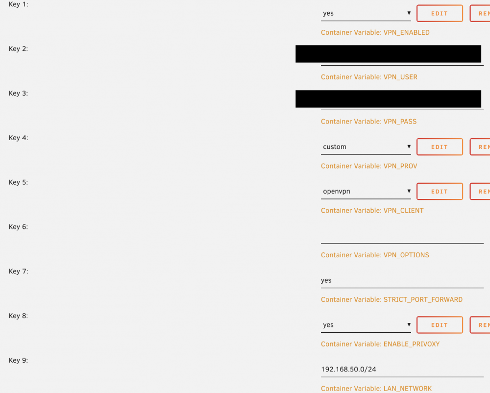 delugevpn_settings.png
