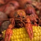 CajunCoding