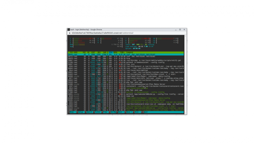 htop.png