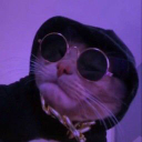 Mr.meowgi