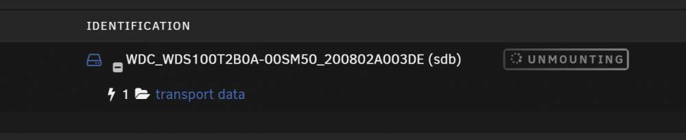 unraid drive.PNG
