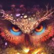 ScreN