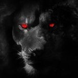 BlackLion