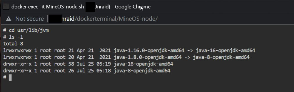 2021-12-27 14_29_31-docker exec -it MineOS-node sh (VDUnraid).png