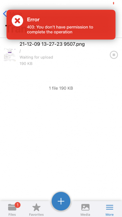 743821156_Foto09-12-2021135006.thumb.png.018a3ce66ea08e381526edb28bf2636f.png