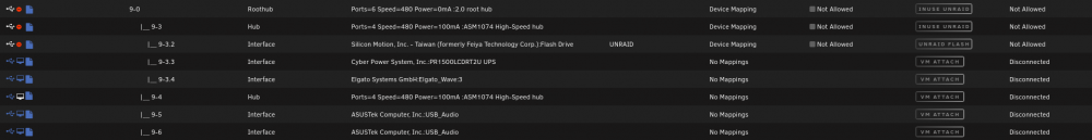 unraid-usb-roothub.thumb.png.a8bdfb8c5eaa7d9fd3b982afc4aef572.png