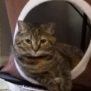 Ender331