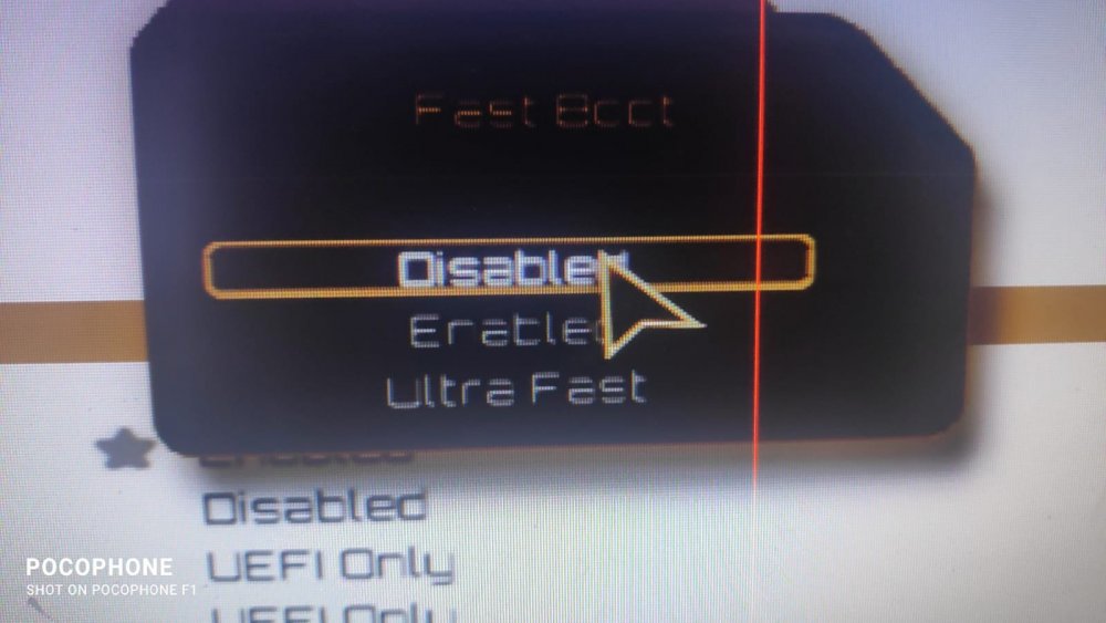 img1.jpeg