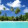 tropical b