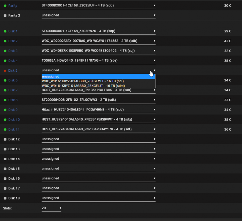 Main - array devices - no disk5 option.png
