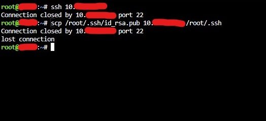 275493839_Screenshot2022-06-20120645.jpg.24d5bbf7b6d56f02235d3d2a39d1beb2.jpg