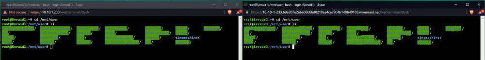 2022-06-16 09_44_12-root@Unraid1_ _mnt_user _ bash --login (Unraid1) - Brave.png