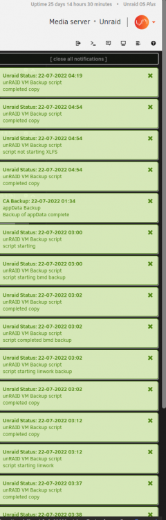 unraid backup2.PNG