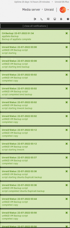 unraid backup.PNG