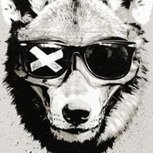 BusterDogg