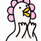 rkwjp