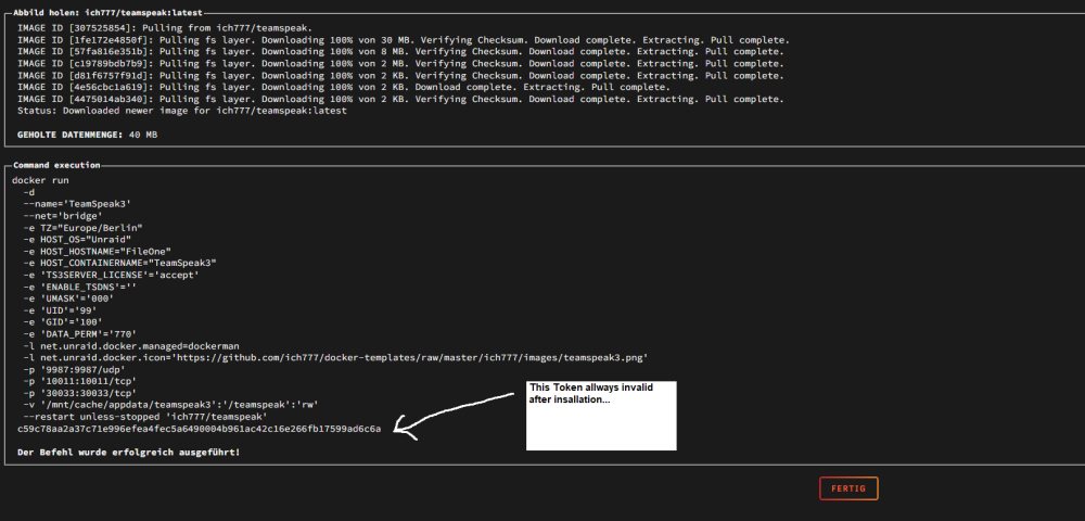TS3 Docker Log.PNG