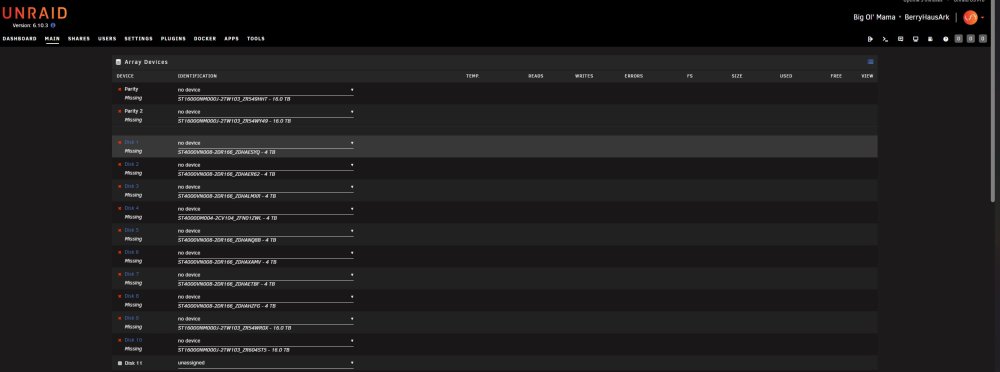 unraid disk assignments.jpg