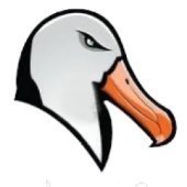 albatr0ss