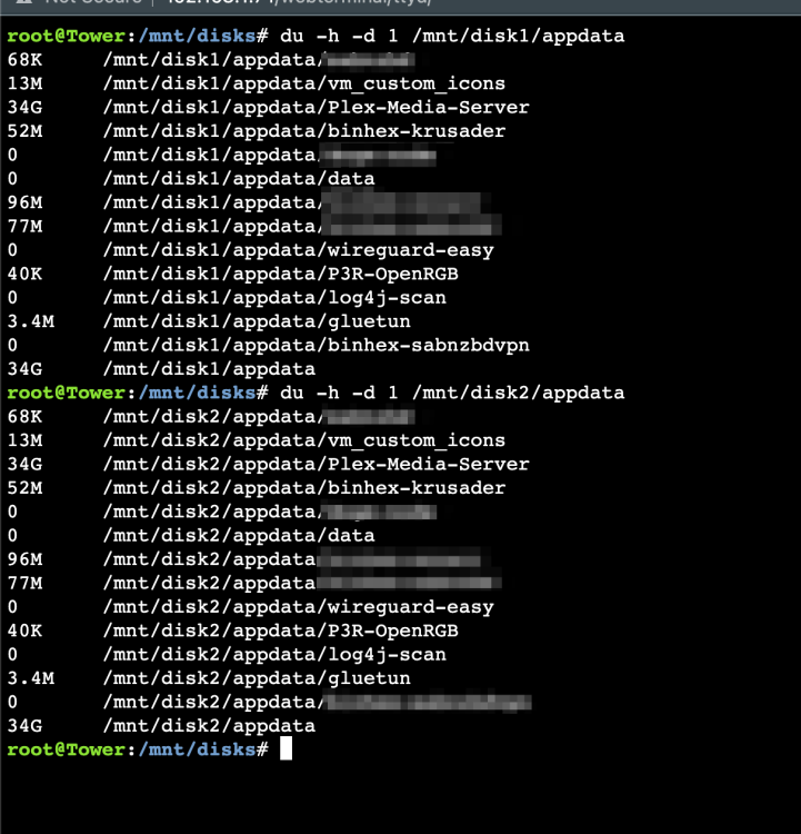 root_Tower___mnt_disks___bash_--login__Tower_.png