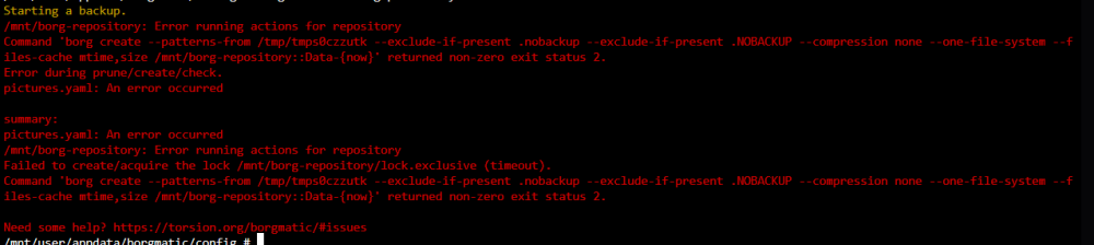 Borgmatic Error.PNG