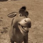 NoDonkeyNo