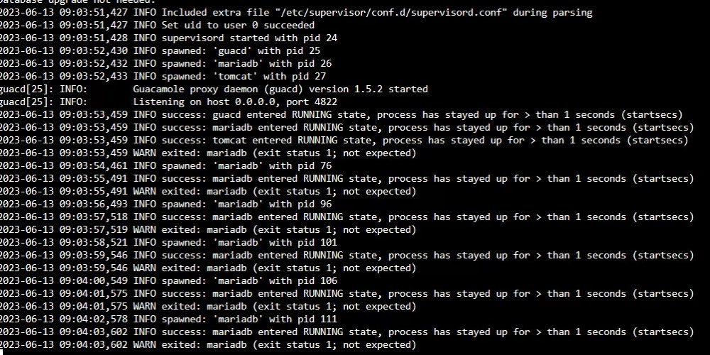mariadb logs.jpg
