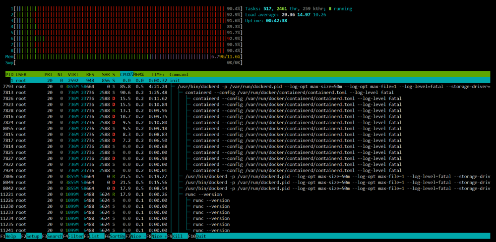 htop_report.png