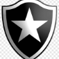 Botafoguense1965