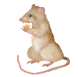 DrSpaldo