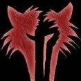 Drezzden865
