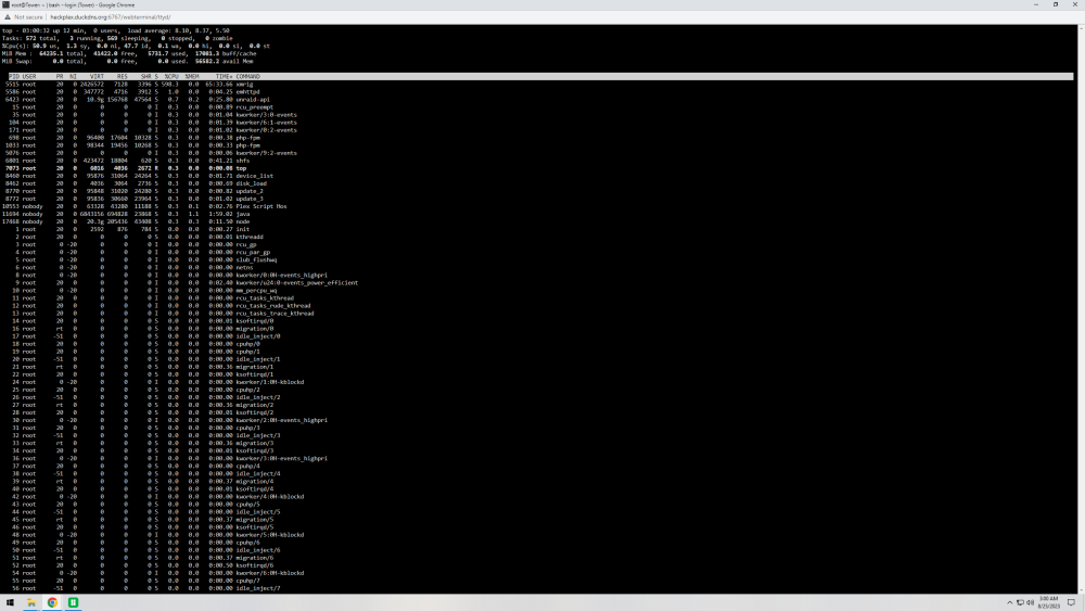 htop.PNG
