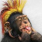 MrMonkey