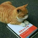 lqgmeow