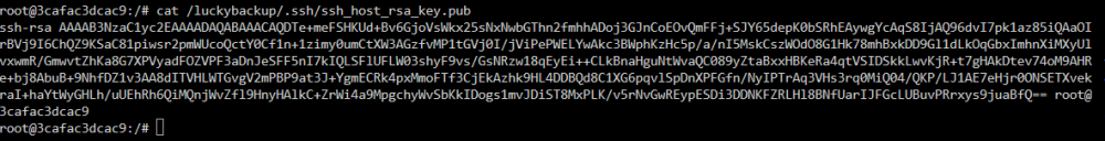 grafik.thumb.png.1aee4def3f48a7a8f06a6cc419f7a6d0.png