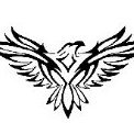 Hawk53